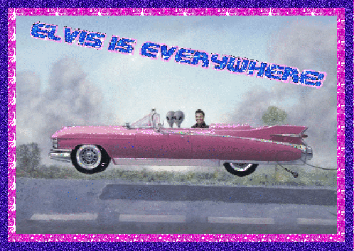 Elvis-Elvis is Everywhere!