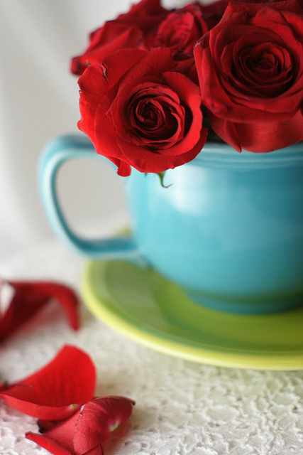 Cup of Roses