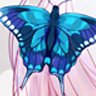 butterfly
