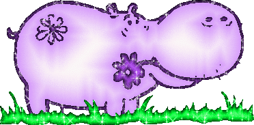 hippo