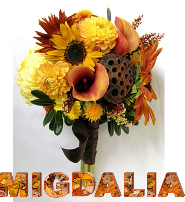 Migdalia
