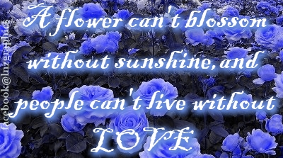 Sunshine And Love