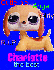 Charlotte adjectives
