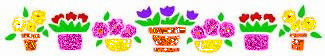 Flower pots - div