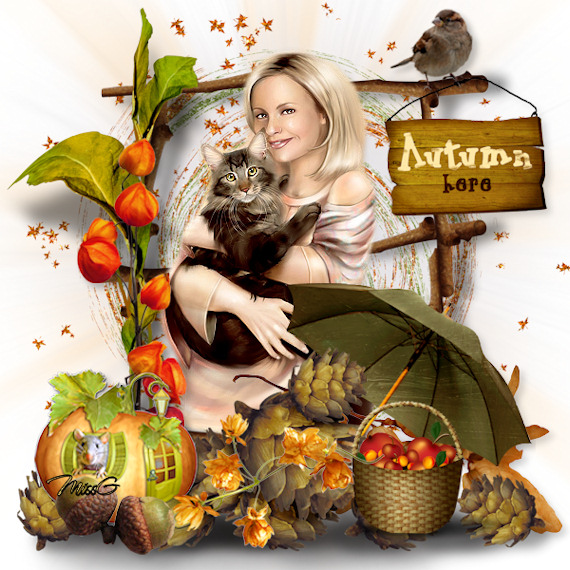 Autumn is here
