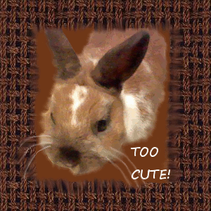 Too Cute