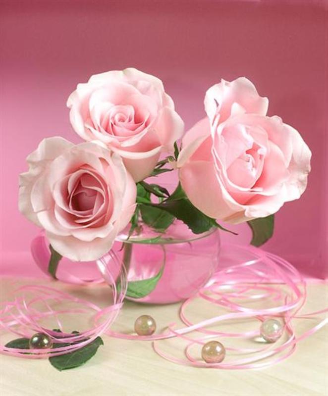 Roses and Pearls