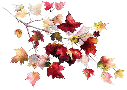 Beautiful Autum