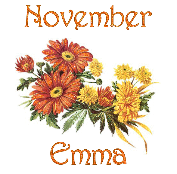 November Mums - Emma