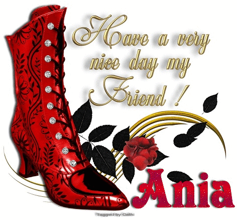 Boot with Bling - Ania