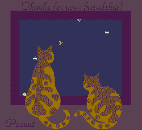 Thanks, friendship, friends, cats, window