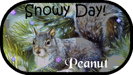 Snowy Day