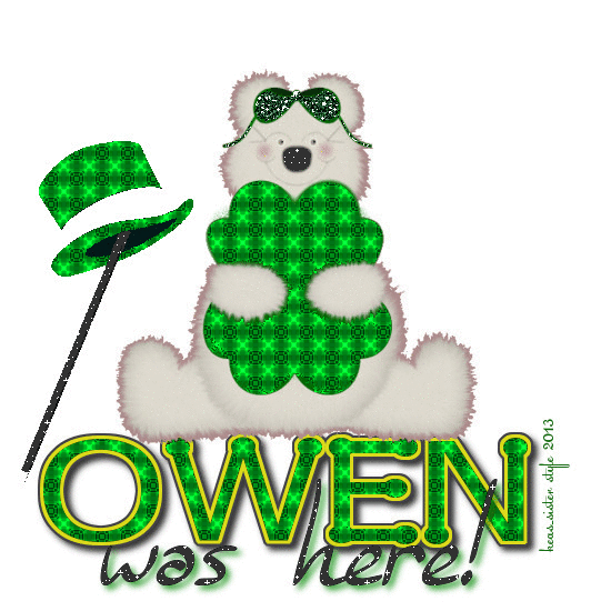 Owen - Was Here - Shamrock - Bear