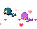 Love birds