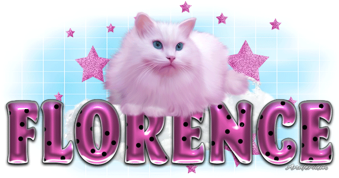 Florence-Pink cute Cat