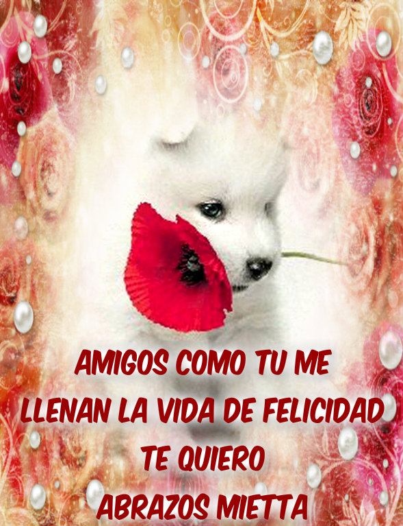 puppy with red rosa- abrazos mietta