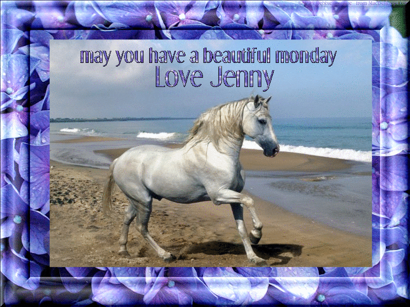 may you have a beautiful monday- love Jenny