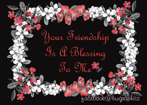 Friendship Is A Blessing