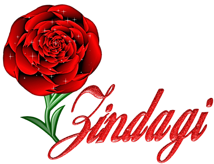 Zindagi