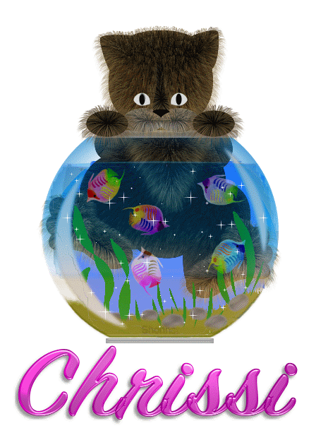 Chrissi