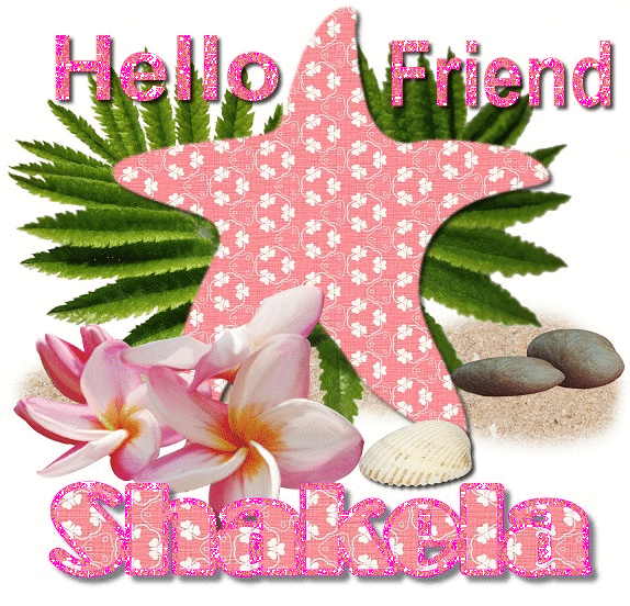 Pink Starfish- Shakela