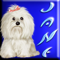 White Dog Avatar - Jane