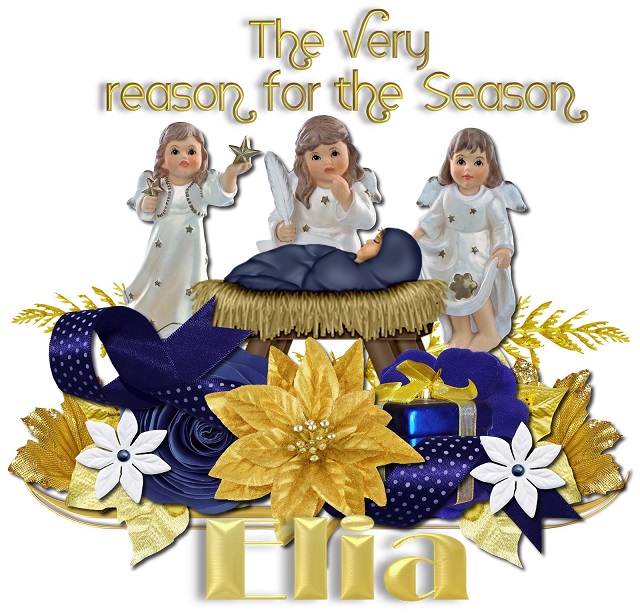 The Very Reason- Elia