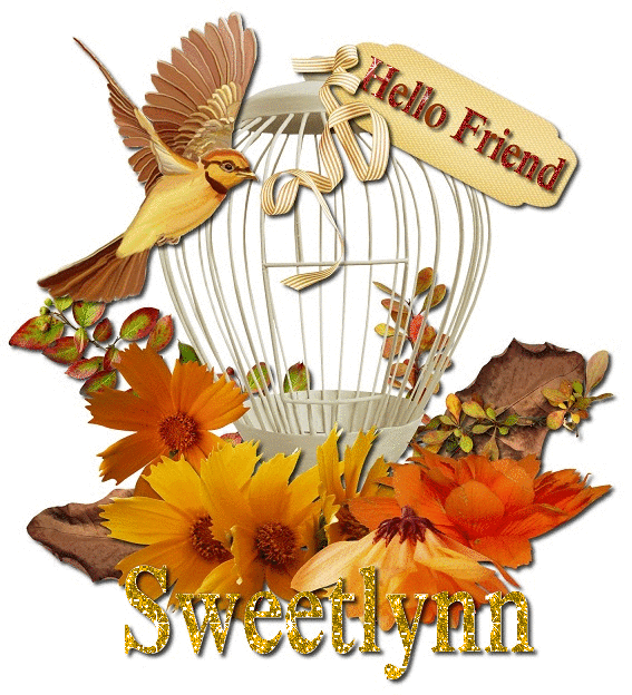 Autumn Bird- Sweet lynn