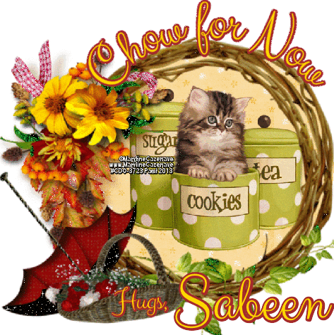 Sabeen
