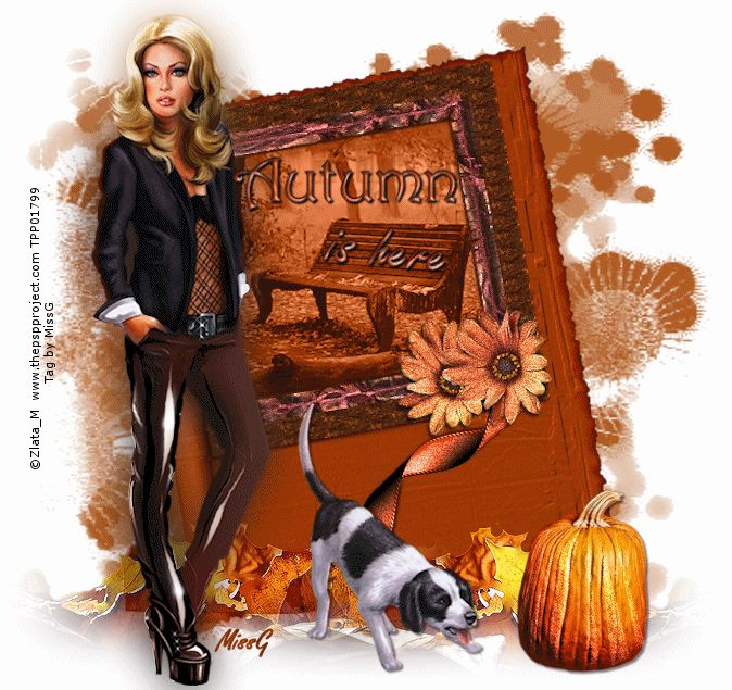 Autumn is here