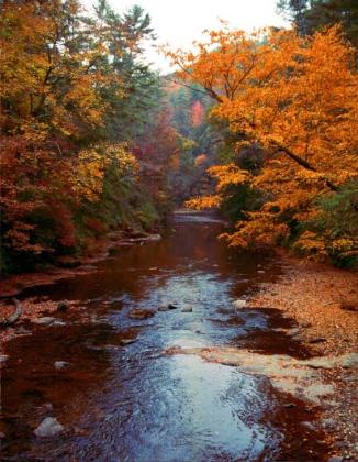 Autumn Photography