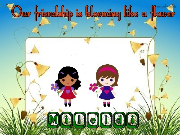 Friendship flowers-Mileidi
