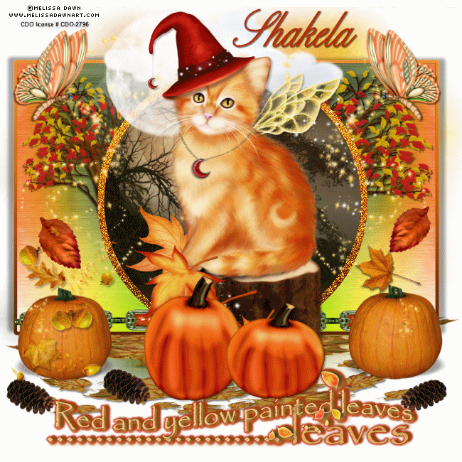 shakela