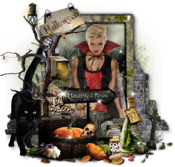 Happy Halloween