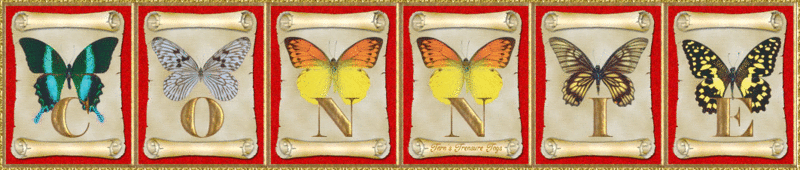 Connie Butterflies