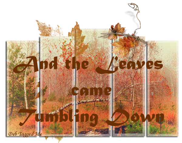 Fall - And the Leaves came Tumbling Down