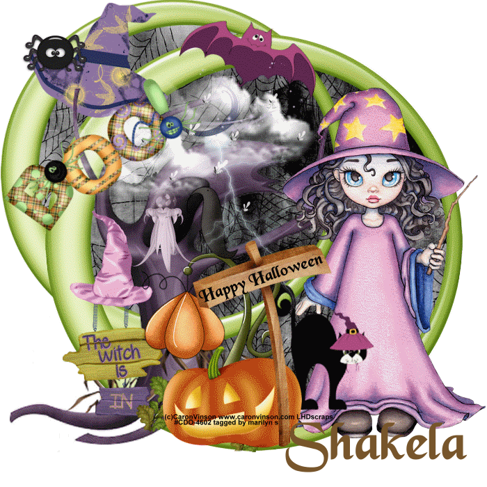 Halloween the witch is in Shakela