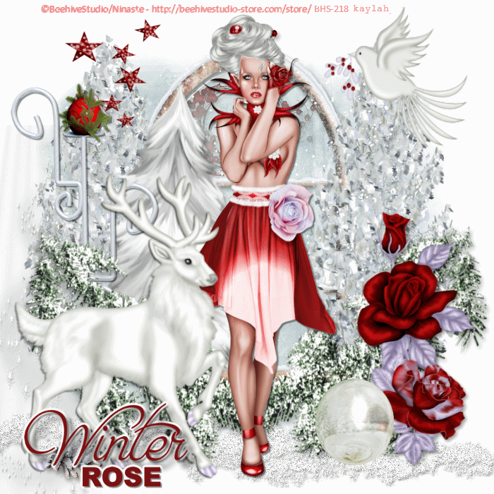 WINTER ROSE