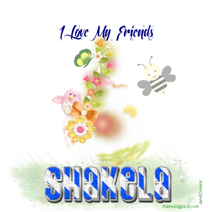 LOVE FRIENDS - SHAKELA