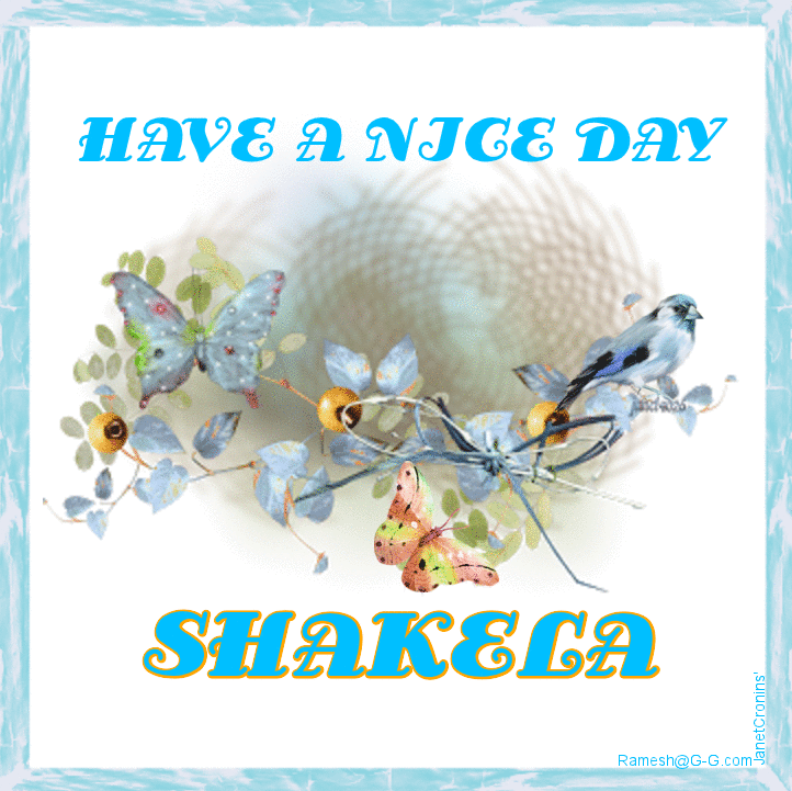 HAVE A NICE DAY - SHAKELA