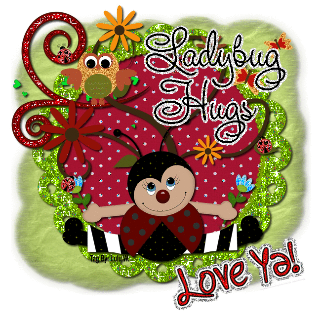 Ladybug Hugs Friends