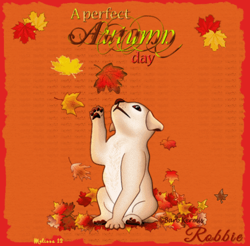 dog playing with leaf