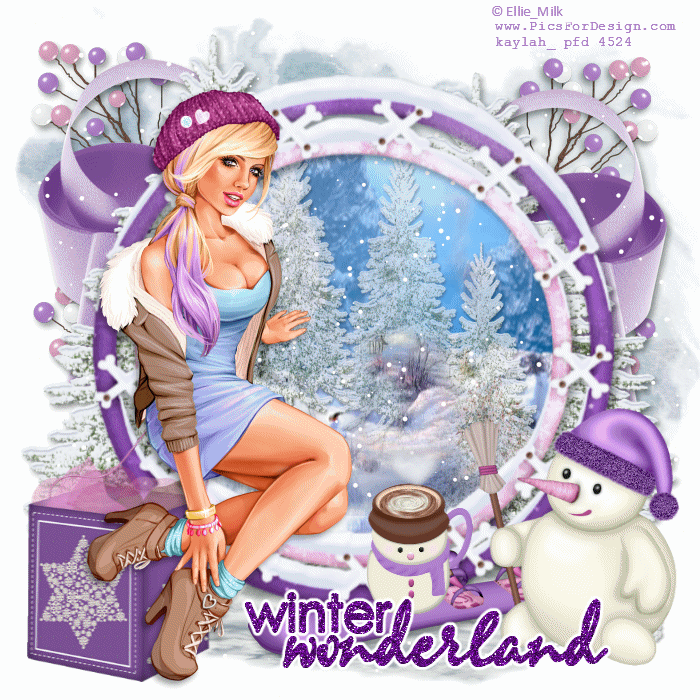 winter wonderland
