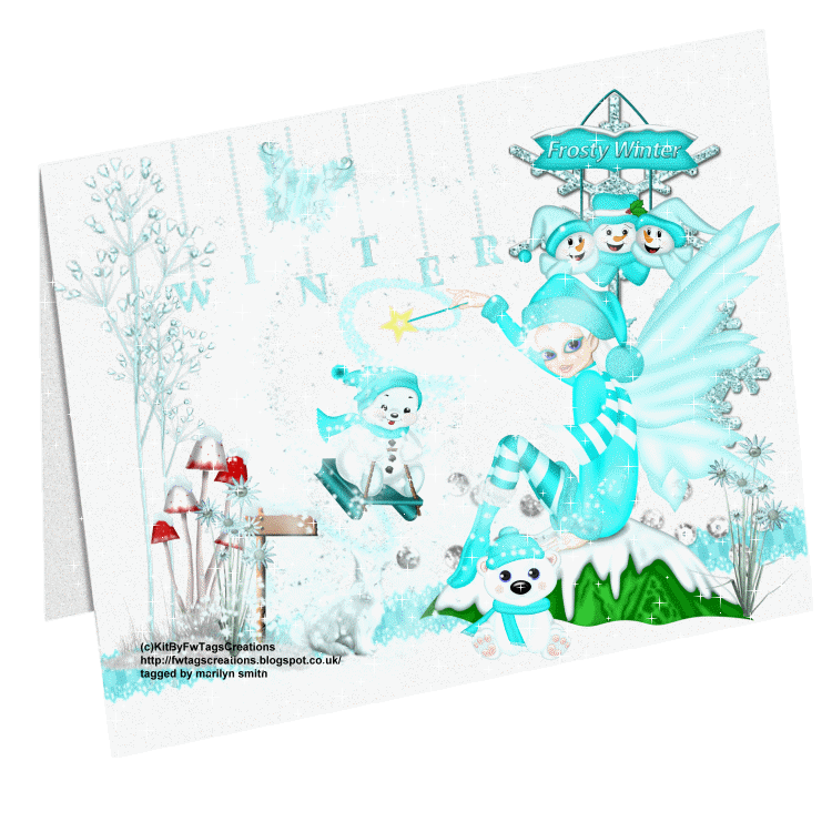 Frosty winter/teal
