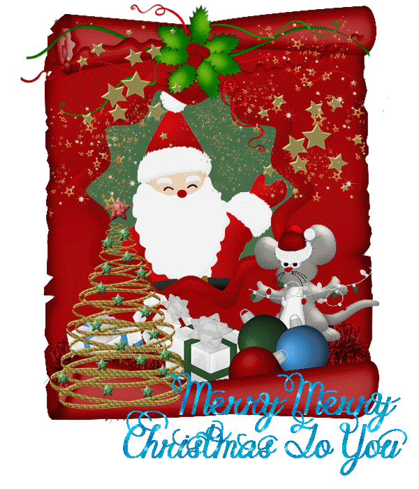Merry merry Christmas to you/santa