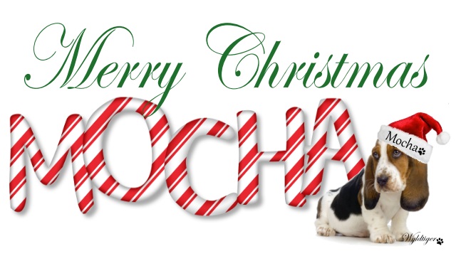 Merry Christmas - Mocha