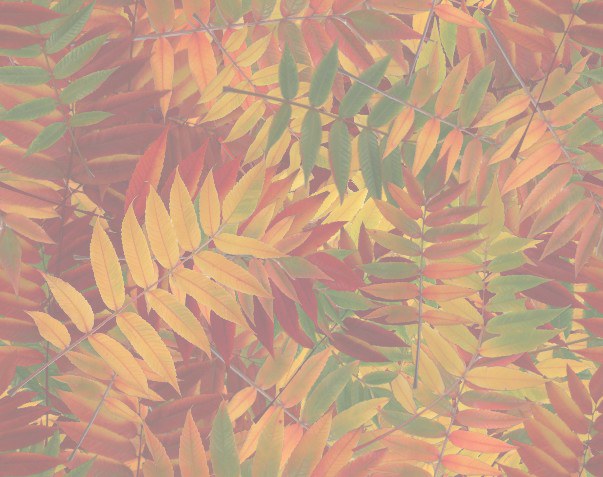 Light  leaves tiled background