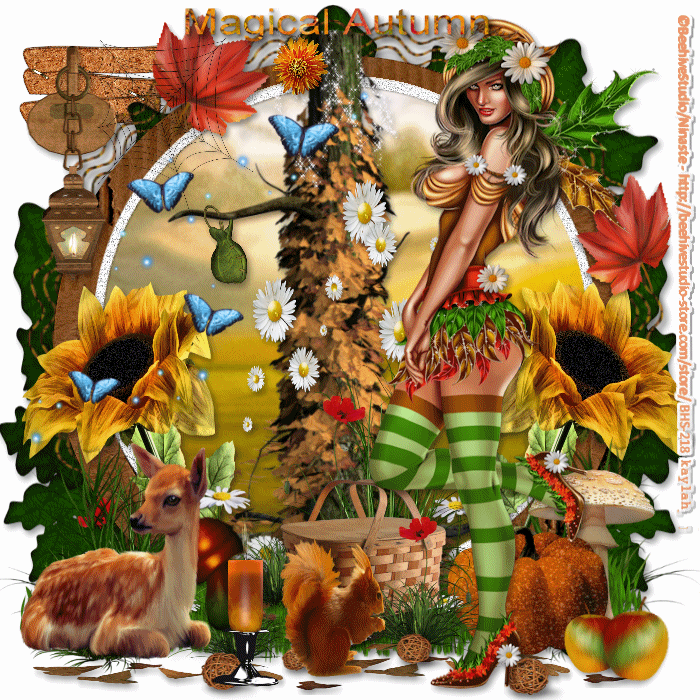magical autumn