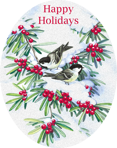 Happy Holiday Robins