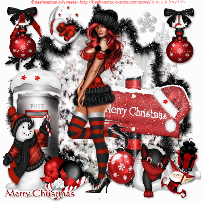 merry christmas